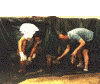 One of the pictures from this site.